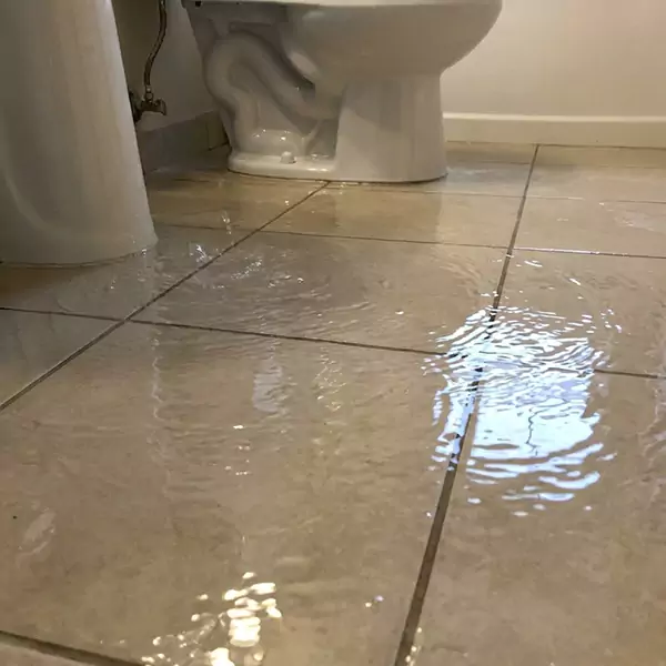 Expert Flooded Bathroom Restoration in Camarillo, CA 