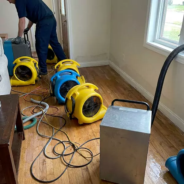 Water Mitigation Services in Camarillo, CA