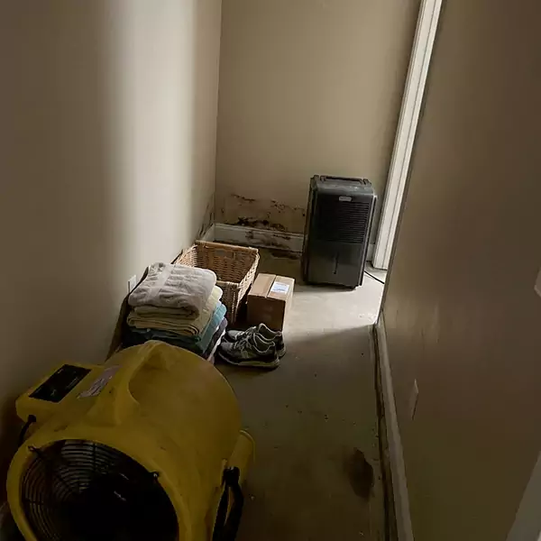 Expert Water Remediation in Camarillo, CA 