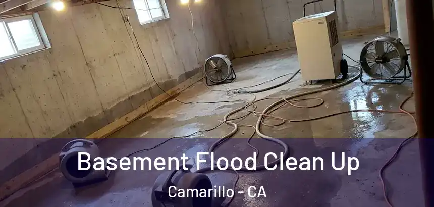  Basement Flood Clean Up Camarillo - CA