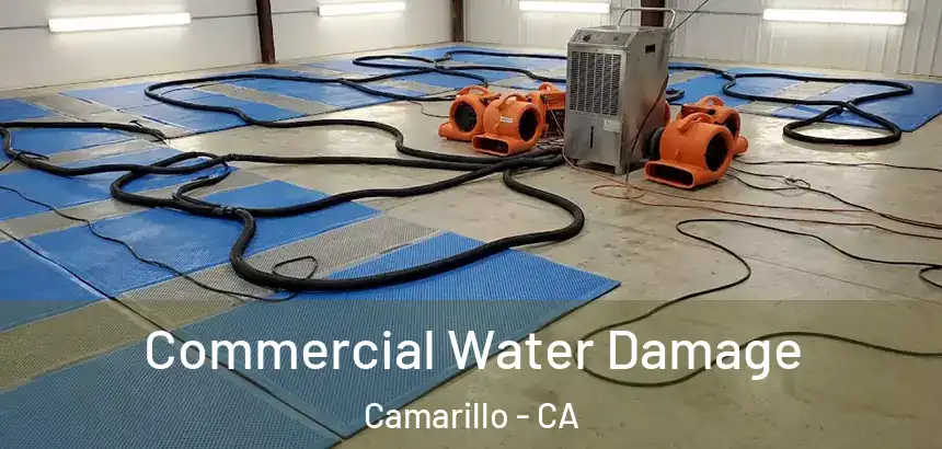  Commercial Water Damage Camarillo - CA