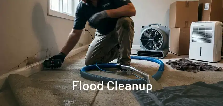  Flood Cleanup 