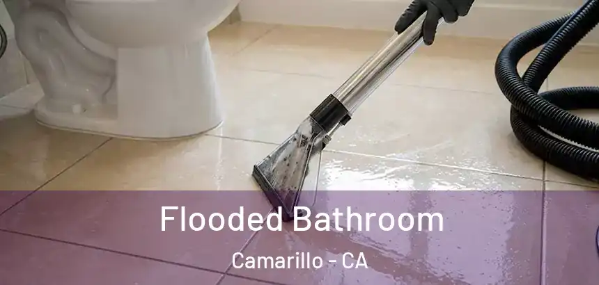  Flooded Bathroom Camarillo - CA