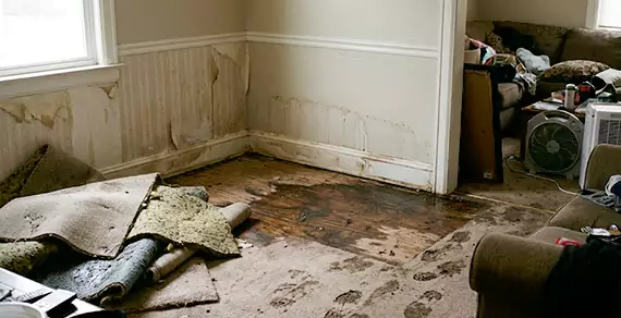 Why Choose Us For Water Damage Restoration Services in Camarillo?