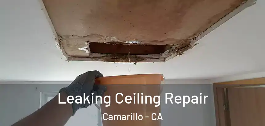  Leaking Ceiling Repair Camarillo - CA