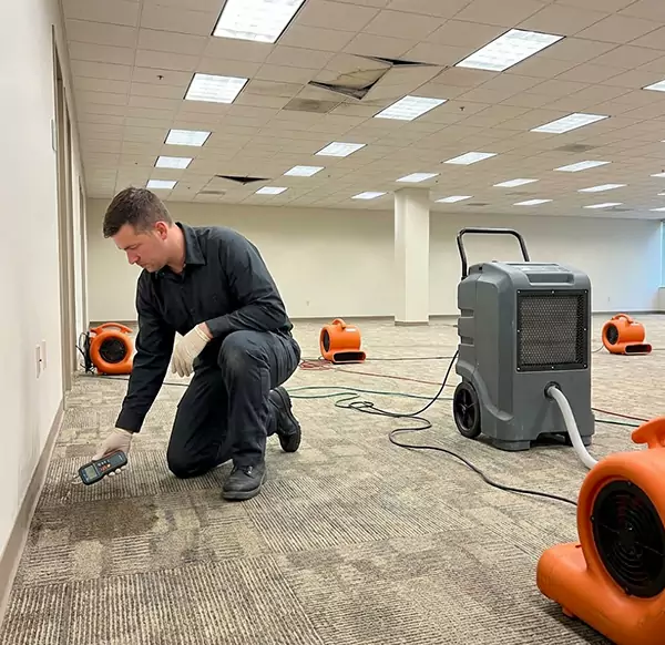 Why Businesses Choose Camarillo Water Damage for Commercial Water Damage in Camarillo, CA?