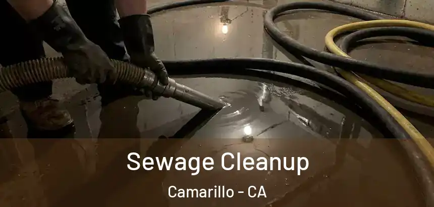  Sewage Cleanup Camarillo - CA
