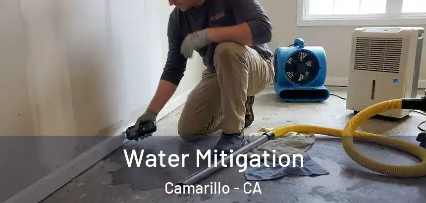  Water Mitigation Camarillo - CA